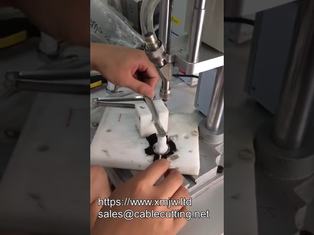 Automatic Desktop Screw Feed Double Screwdriver Machine Screw Fastening Machine